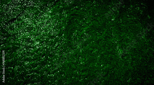 dark green water surface