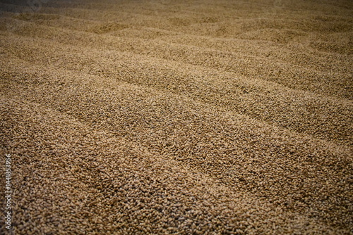 Whisky Distillery Machines – Crafting Scotch on Islay, Scotland