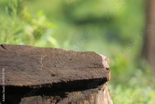 Wallpaper Mural a wooden table with blurred background. for product presentation Torontodigital.ca