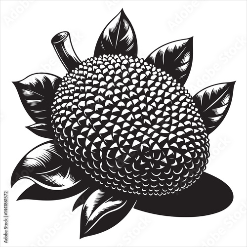 a fresh jack fruit, fruit vector silhouette, vector black color silhouette, isolated white background 