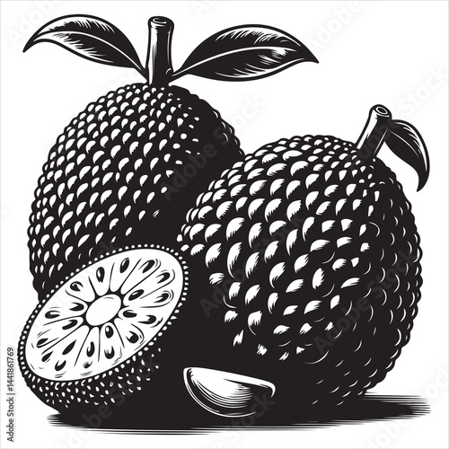 a fresh jack fruit, fruit vector silhouette, vector black color silhouette, isolated white background 