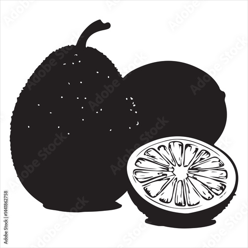 a fresh jack fruit, fruit vector silhouette, vector black color silhouette, isolated white background