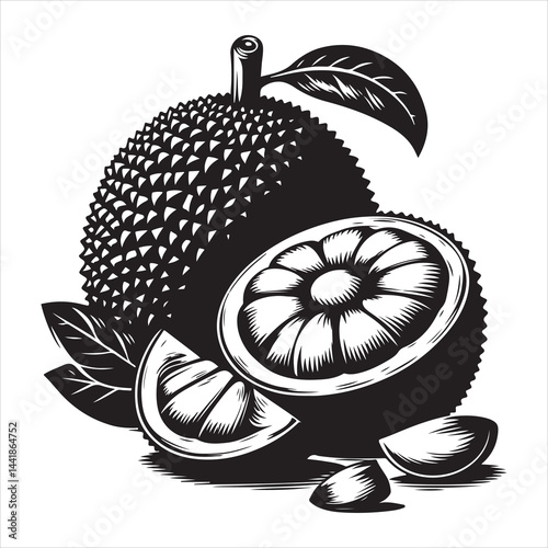a fresh jack fruit, fruit vector silhouette, vector black color silhouette, isolated white background