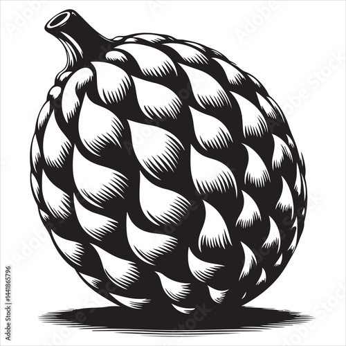 a fresh jack fruit, fruit vector silhouette, vector black color silhouette, isolated white background