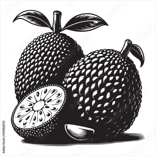 a fresh jack fruit, fruit vector silhouette, vector black color silhouette, isolated white background
