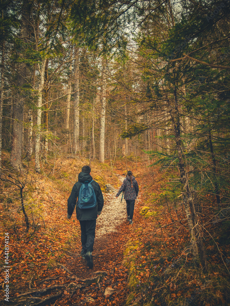 Family walking along a rocky forest trail near Kranjska Gora, Slovenia, surrounded by tall evergreen trees and mountain scenery. Family walking along a rocky forest trail near Kranjska Gora, Slovenia, surrounded by tall evergreen trees and mountain scenery.