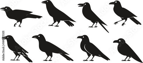 collection of birds silhouettes, Collection of Corvid Silhouettes Featuring Crows, Ravens, and Blackbirds – Graphic Design Elements with Monochromatic Bird Imagery and Ornithological Study Influence

