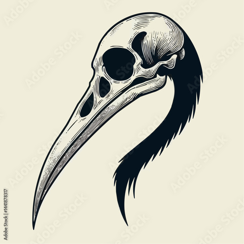 vector illustration of a bird