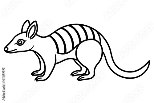 Elegant Numbat Sketch