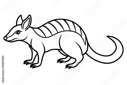 Elegant Numbat Sketch