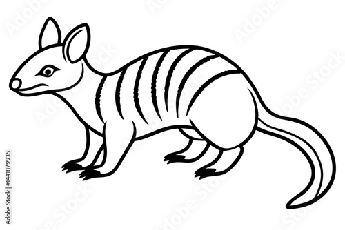 Elegant Numbat Sketch