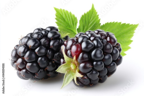 Fresh blackberries with leaves (5) photo