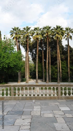 Athens National Garden near Parliament, central entrance. Tall palm trees in a row with white balustrade in the foreground. Forward camera movement 