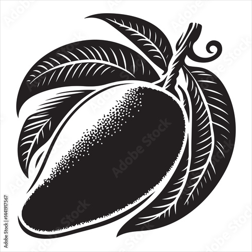 A mango fruit  Silhouette Vector Art, and Graphic, vector black colour silhouette  