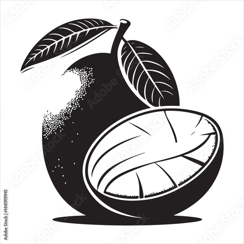 A mango fruit  Silhouette Vector Art, and Graphic, vector black colour silhouette  