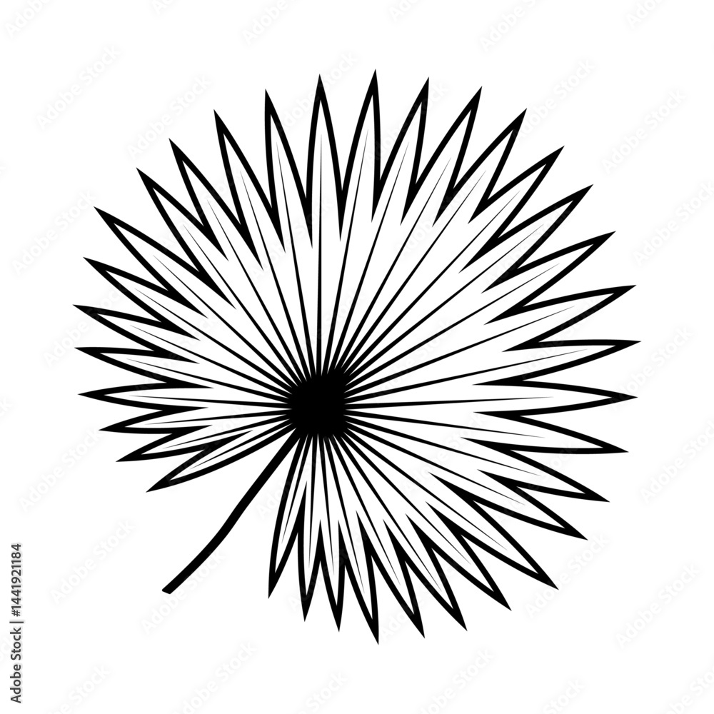 Obraz premium Palm leaf in black outline isolated on white or transparent background. Vector illustration. Close-up plant element for summer design decoration. Tropical plants.