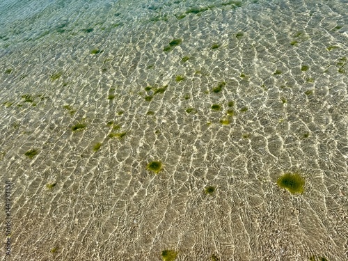 Shallow, sunlit water with rippling patterns and scattered green seaweed patches on the sandy seafloor, capturing clear aquatic texture. Horizontal