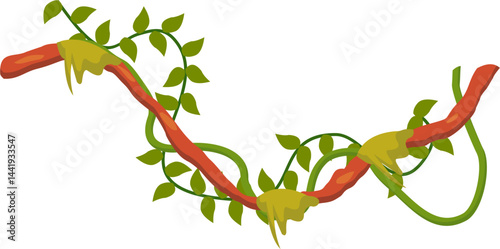 Jungle Liana Plants Illustration