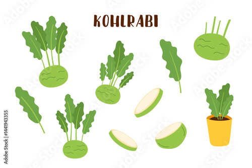Kohlrabi cliparts isolated on white background. Gardening and food concept. Vector hand drawn illustration.