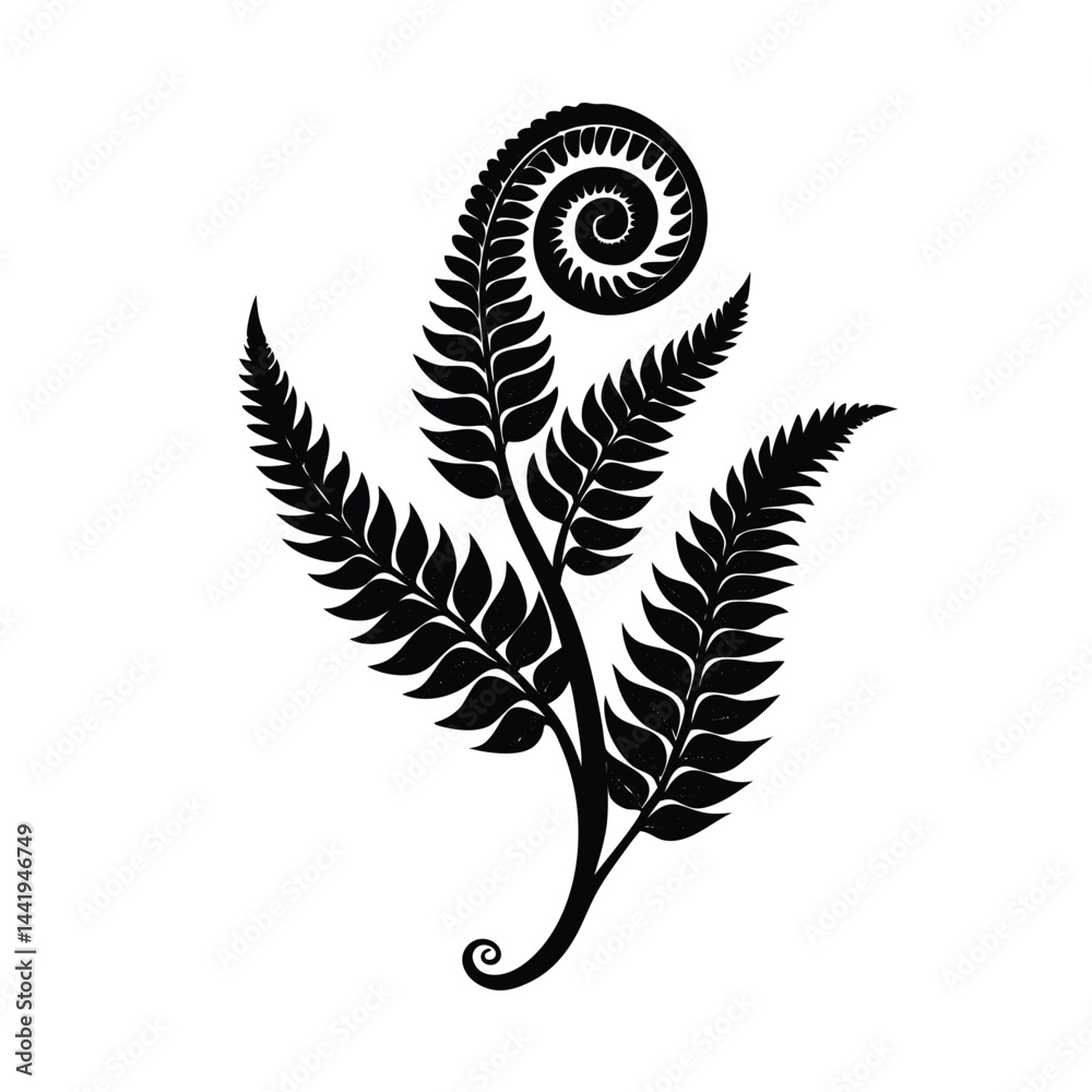 spiral fern unfurling botanical illustration