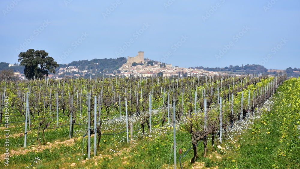 Αυτοκόλλητο vineyard in springtime near village Chateauneuf du Pape in France