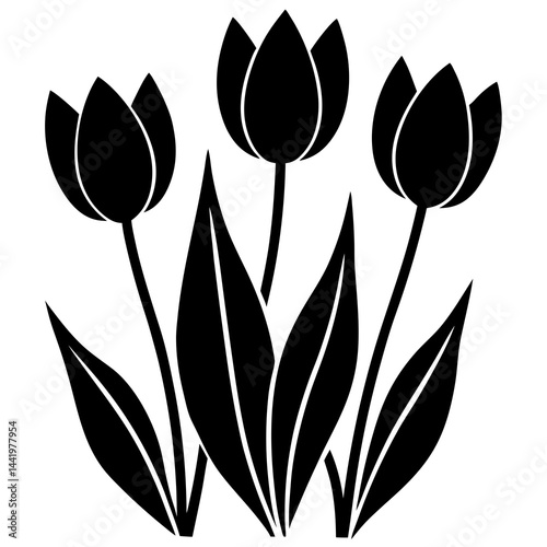 black and white tulips