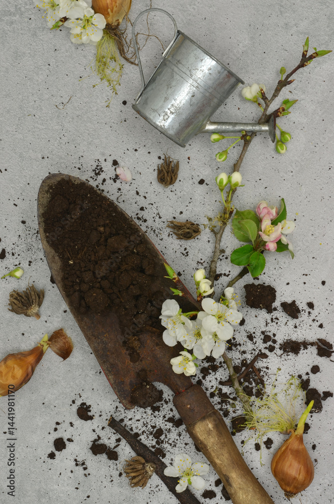 Eco texture: soil, shovel, watering can with flowers. Elements of gardening: transplanting and planting plants, pruning branches. Top view abstract mess.