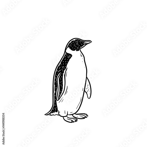 Hand-drawn penguin vector illustration perfect for nature-themed projects, children's books, or educational materials. Adds a playful touch to any design with a cheerful character.