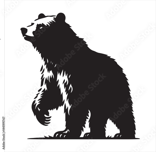 bear standing silhouette, vector, black color silhouette 