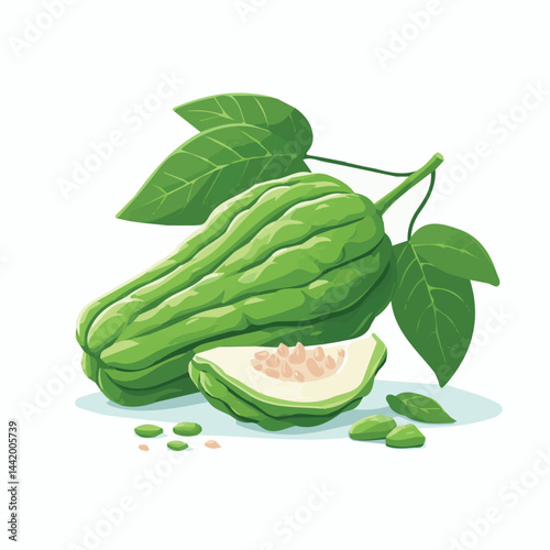 green, organic, fresh, ingredient, food, vegetable, raw, healthy, natural, agriculture, vegetarian, chayote, background, diet, white, fruit, plant, nutrition, vegetables, isolated, nutritious, freshne