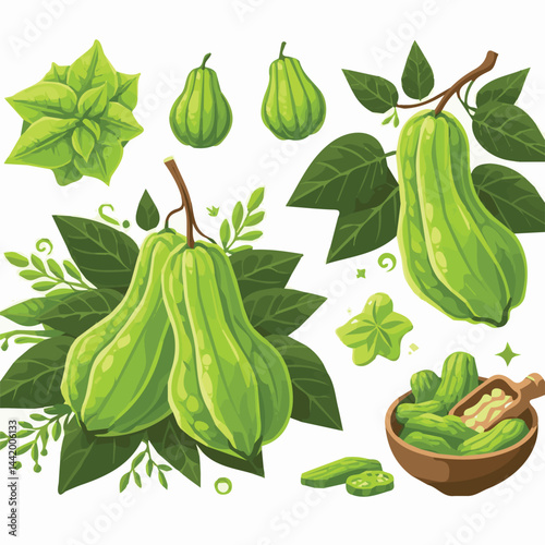 green, organic, fresh, ingredient, food, vegetable, raw, healthy, natural, agriculture, vegetarian, chayote, background, diet, white, fruit, plant, nutrition, vegetables, isolated, nutritious, freshne