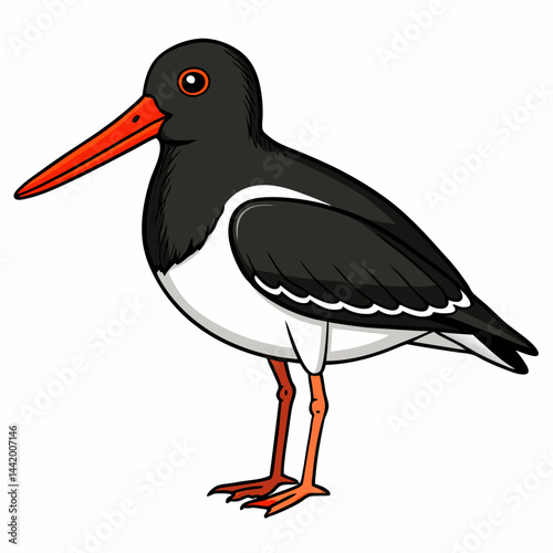 yellow billed stork