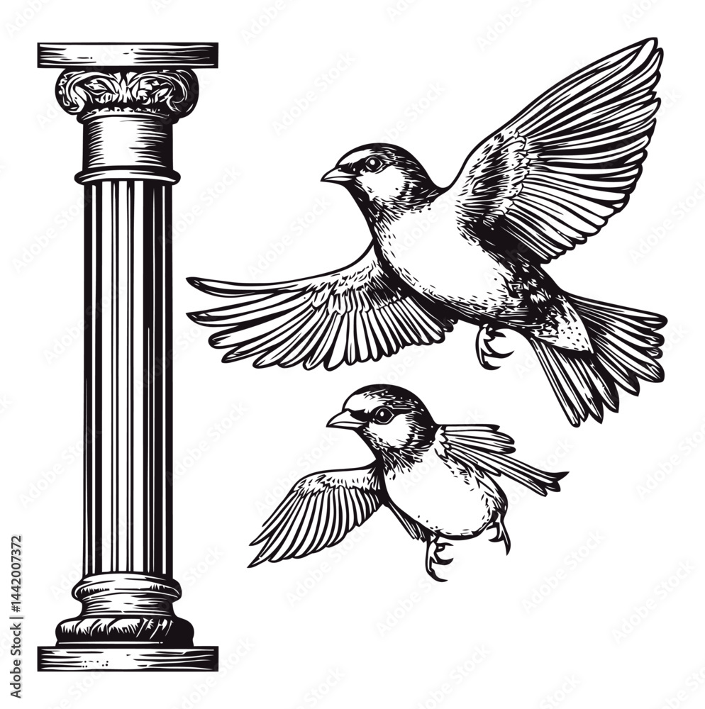 Fototapeta premium Detailed Engraving of Flying Birds with Classic Column Design
