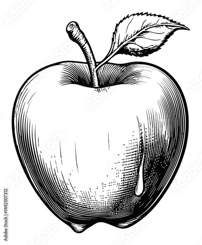 Detailed Engraving of a Juicy Apple with Leaf and Water Droplet