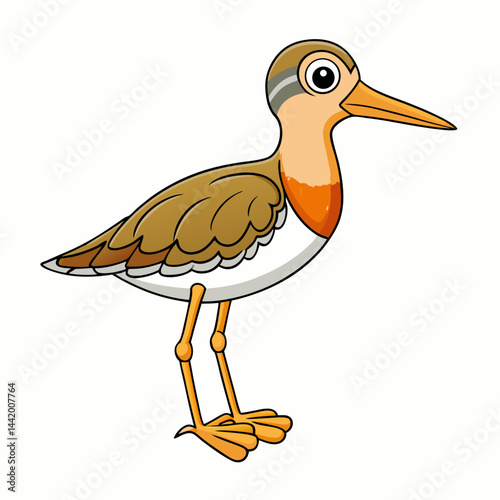 vector illustration of cartoon bird