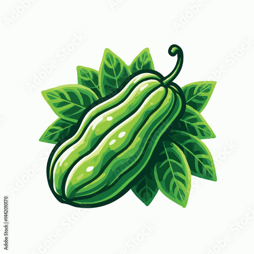 green, organic, fresh, ingredient, food, vegetable, raw, healthy, natural, agriculture, vegetarian, chayote, background, diet, white, fruit, plant, nutrition, vegetables, isolated, nutritious, freshne