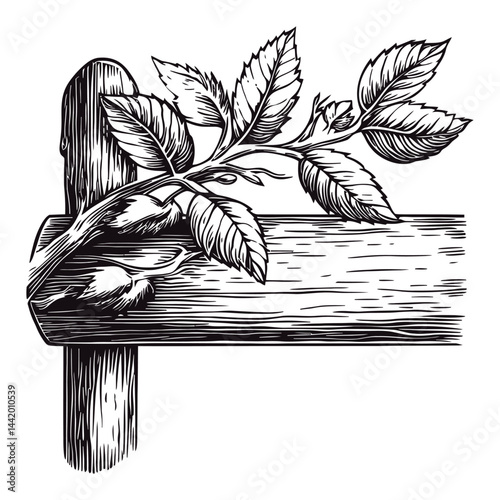 Detailed Engraving of Wooden Sign Post with Floral Elements