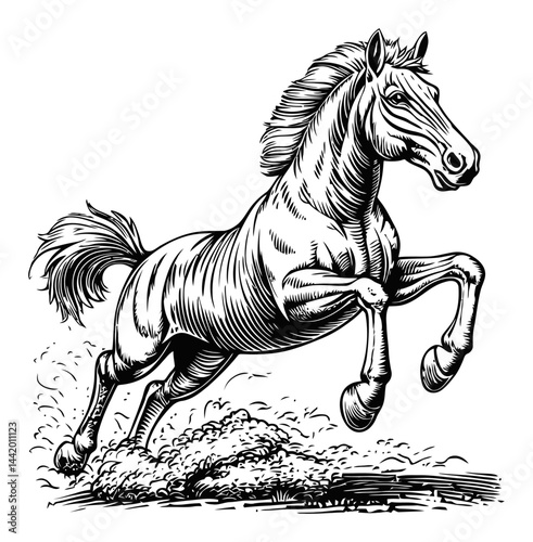 Detailed Engraving of a Galloping Horse in Classic Illustration Style