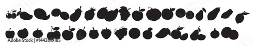 Fruit set vector