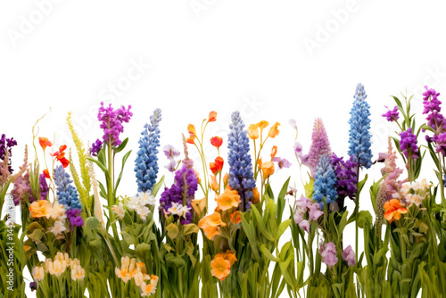 PNG Colorful spring flowers in bloom