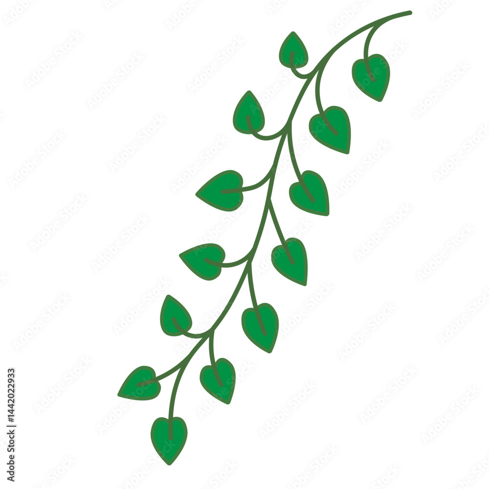 Obraz premium Heart Leaf Vine | Green Trailing Plant Vector Illustration