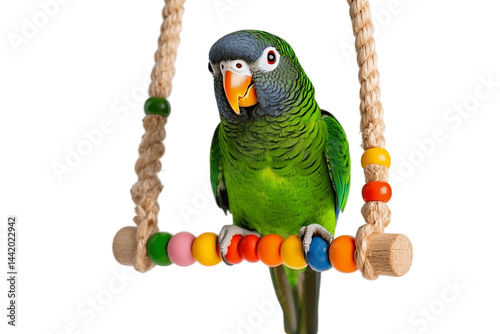 Hanging swing with vibrant parrot beads