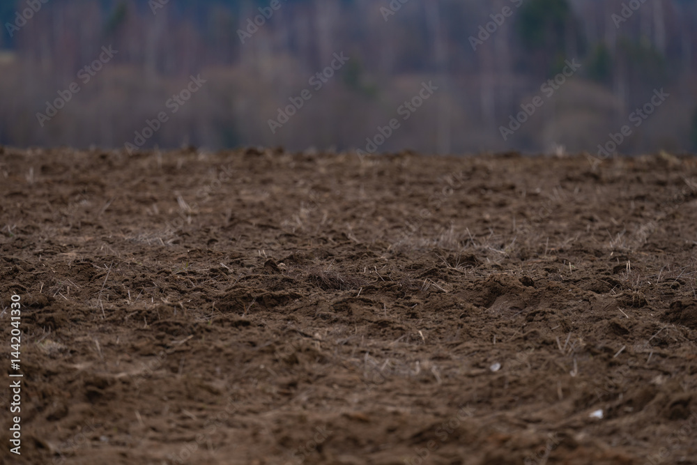 a plowed agricultural field , a spring landscape in the countryside