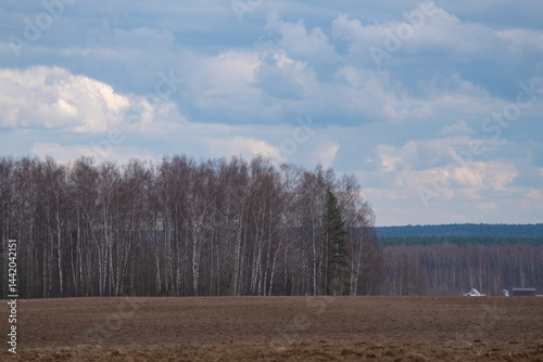 Obraz na płótnie a plowed agricultural field , a spring landscape in the countryside w salonie