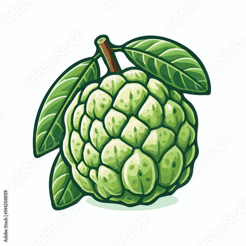 cherimoya, green, fruit, fresh, food, ripe, exotic, sweet, tropical, organic, custard, background, healthy, raw, annona, white, custard apple, delicious, tasty, isolated, dessert, seed, half, chirimoy