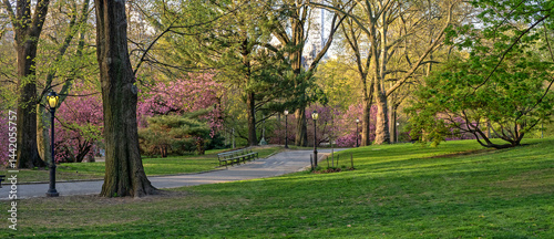 Obraz na płótnie Central Park in spring w salonie