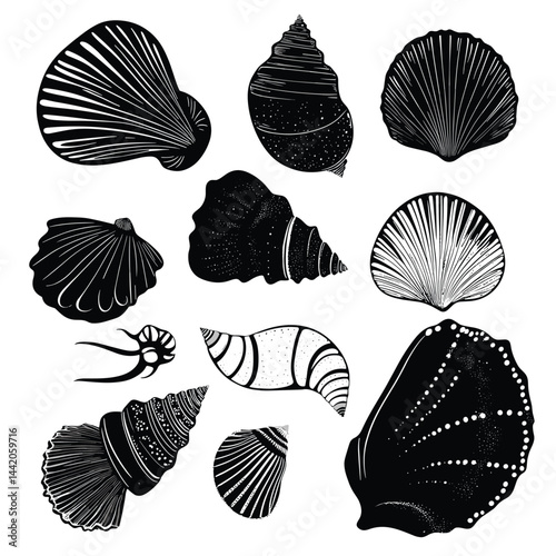 Hand Drawn Sea Shells Collection Black and White Vector Set Isolated on White Background