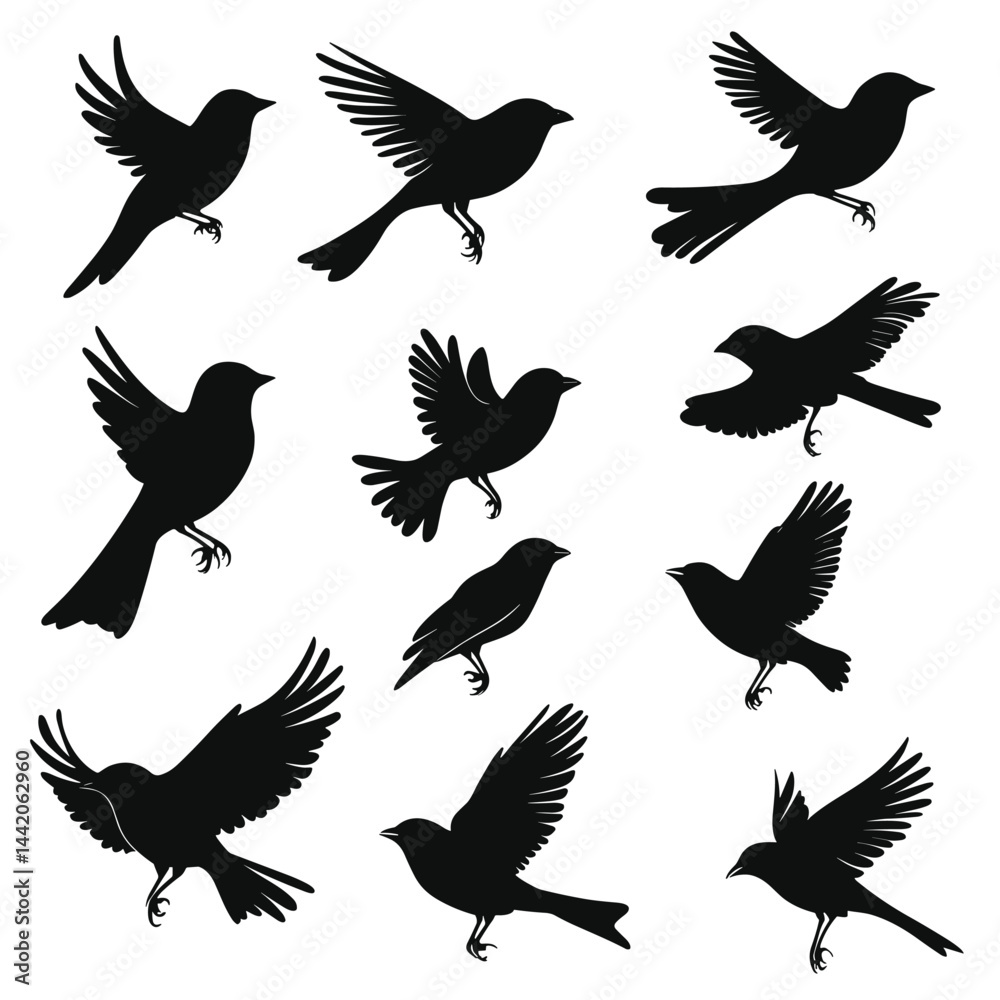 Obraz premium Collection of Bird Silhouettes in Various Flying and Perching Poses