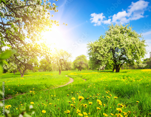 spring landscape featuring lush green grass, blooming trees, and bright sun illuminating scene. cheerful atmosphere evokes feelings of joy and tranquility
