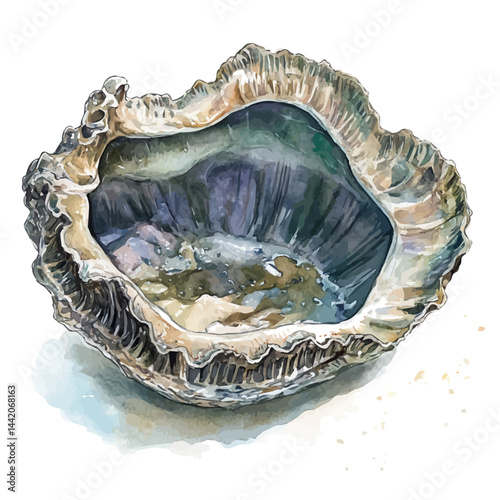 giant clam opening in the ocean floor, watercolor drawing, isolated on a white background. giant clam opening in the ocean floor vector.